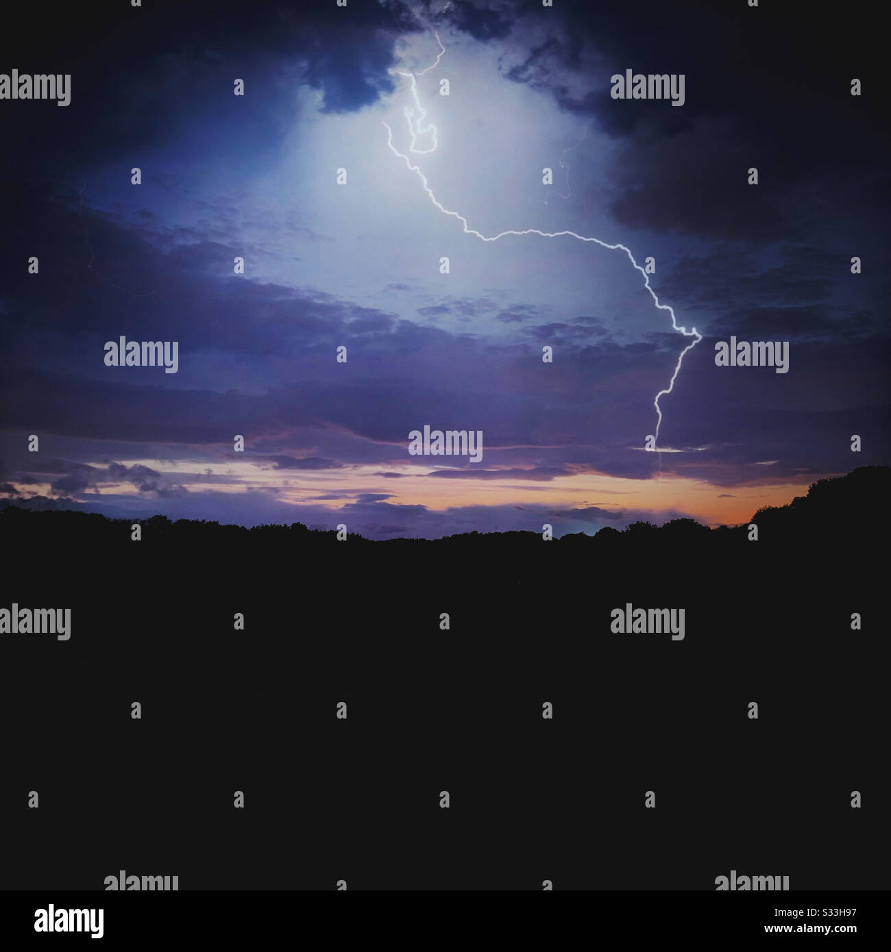 A lighting strike during a thunderstorm in the evening. Twilight hours with dark trees on horizon and copy space - Smartphone Captured Stock Image