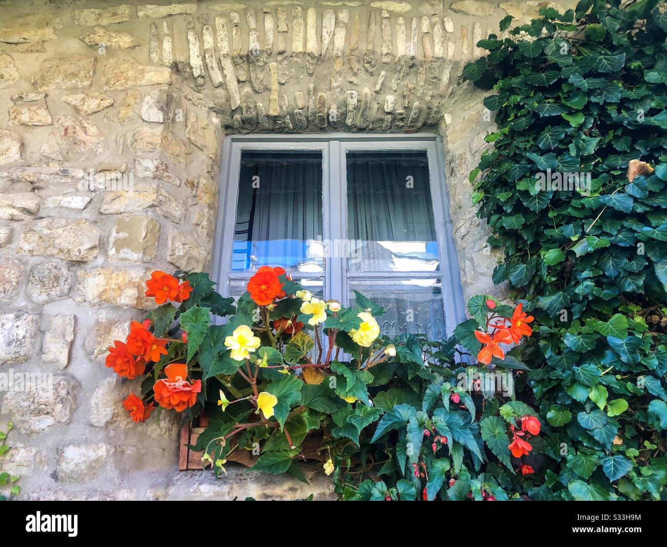 Window with hanging ivy and flowers Stock Photo