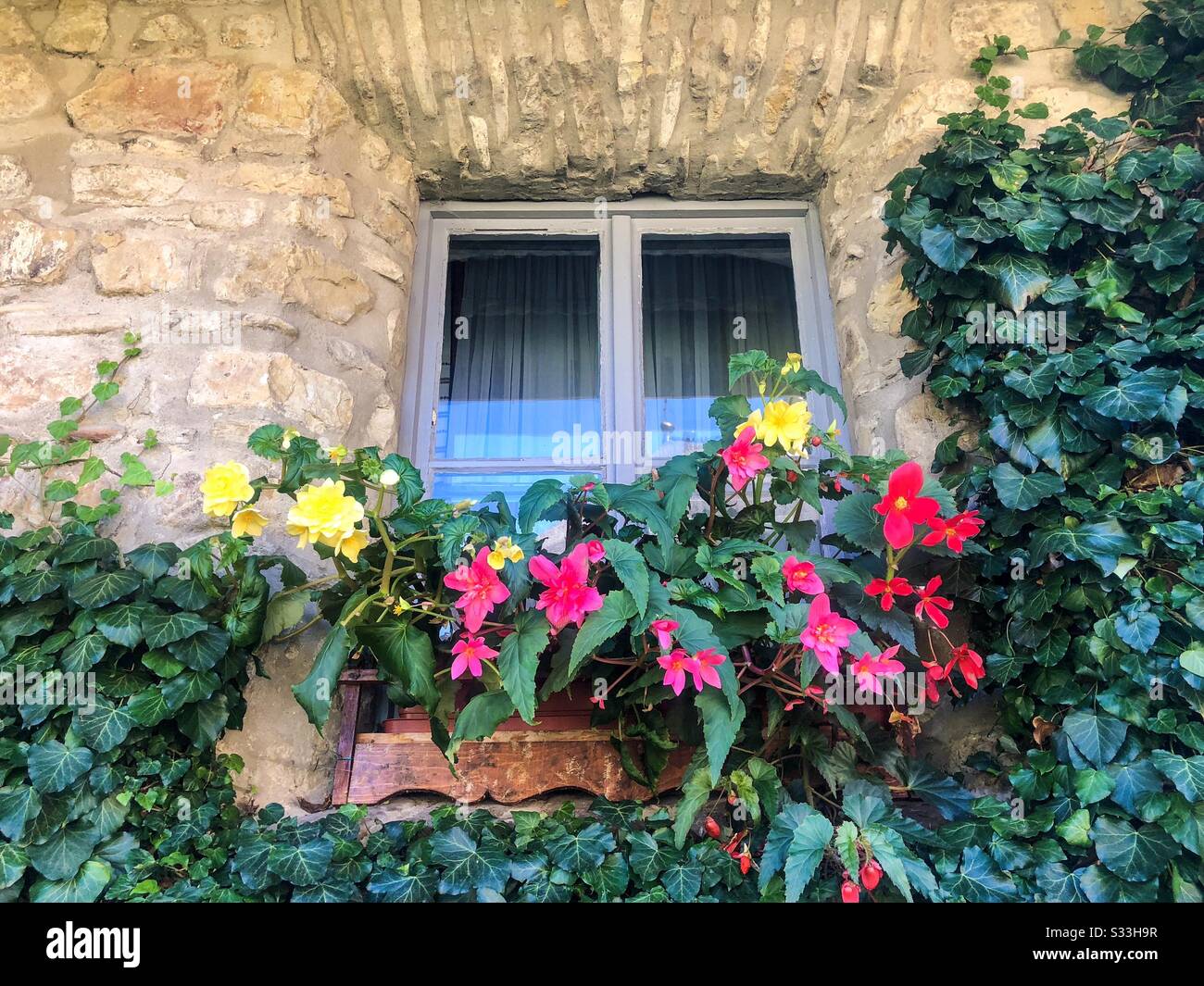 Window with hanging ivy and flowers Stock Photo