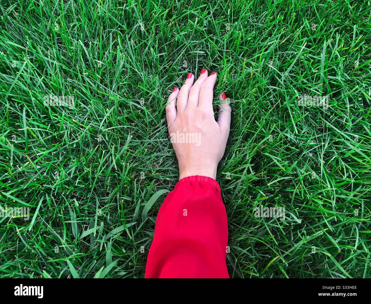 Person touching grass - Stock Image - F012/0423 - Science Photo Library