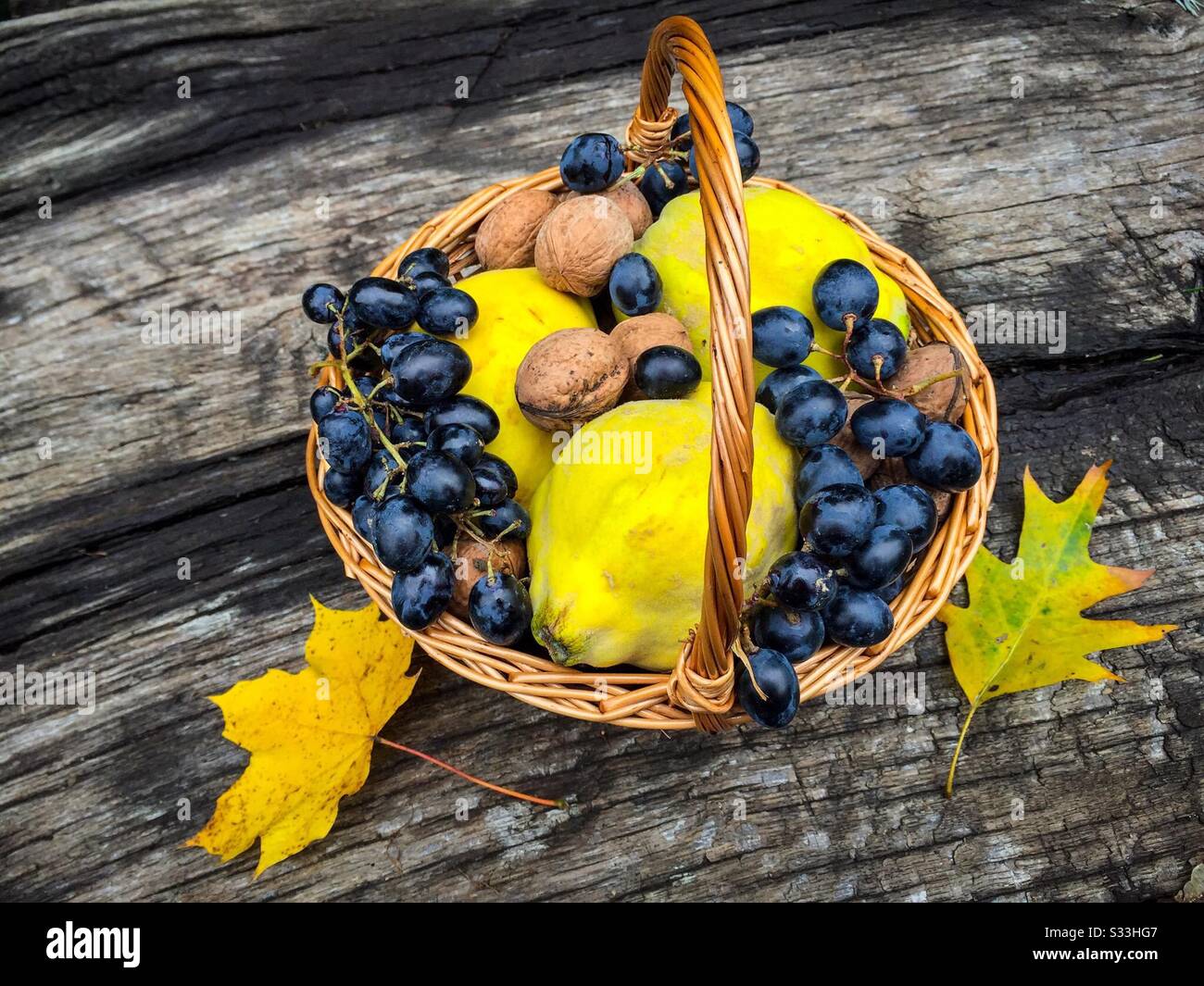 Basket with nuts, grapes and quinces on rustic wooden table - Smartphone Captured Stock Image