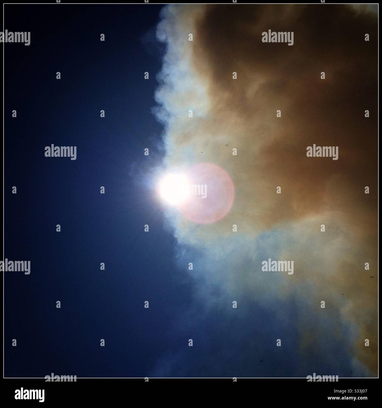 Smoke from seasonal burning of the prunings in an olive grove blocks the Sun, Catalonia, Spain. - Smartphone Captured Stock Image