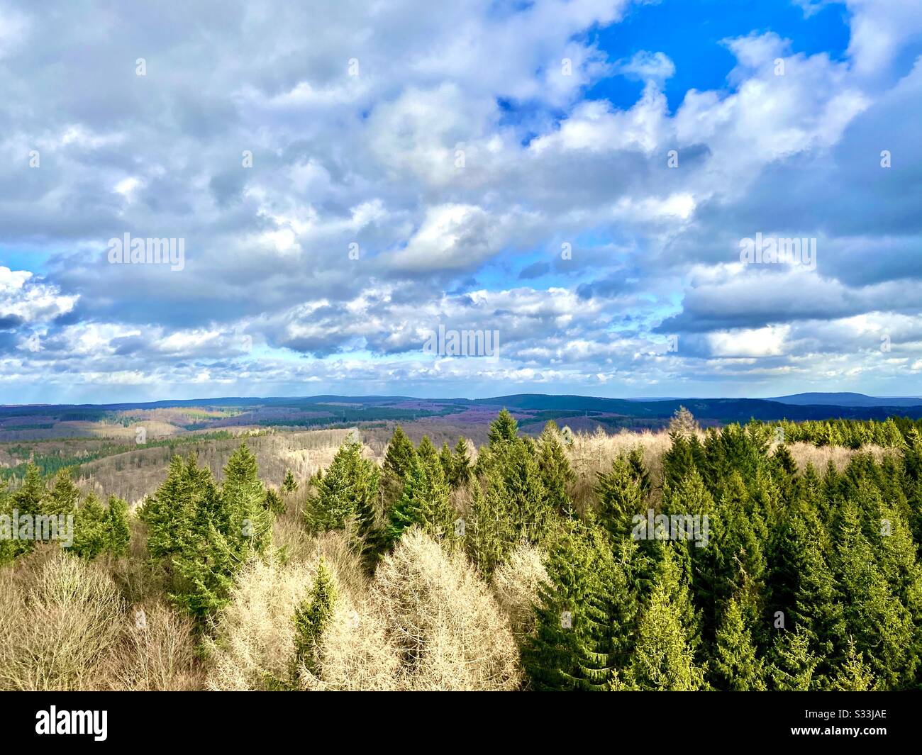 the Harz is one of the many beautiful german highlands Stock Photo