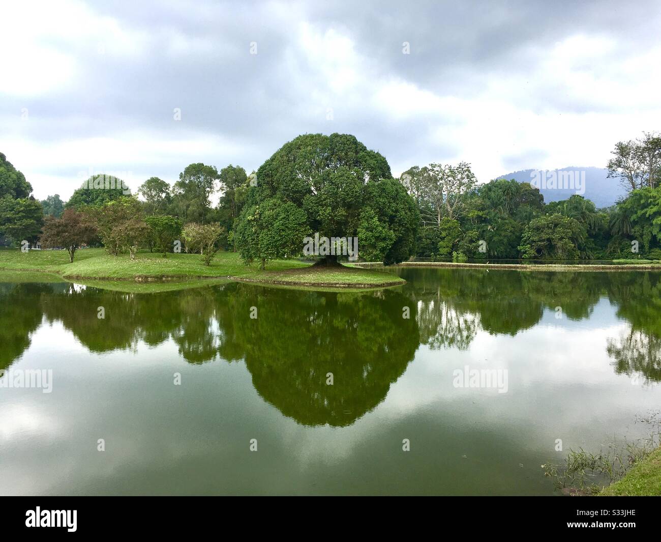 Lake Gardens, Taiping, Malaysia - Smartphone Captured Stock Image