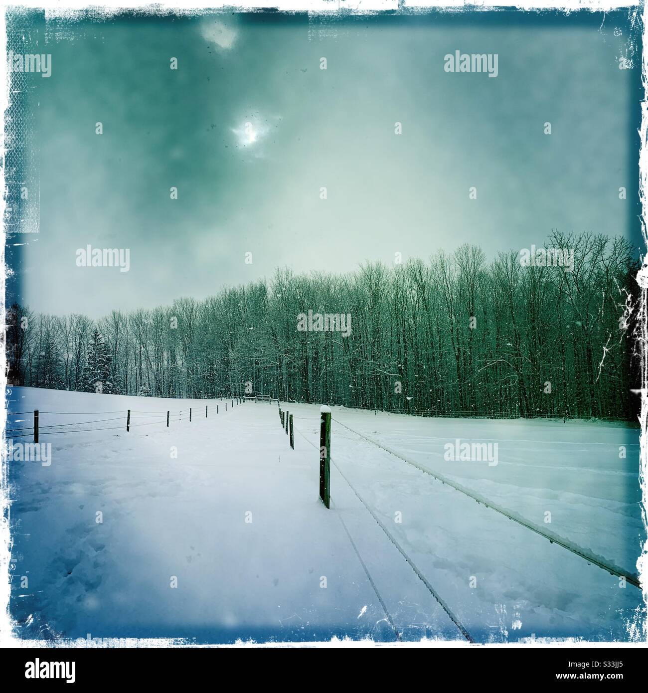 Farm pasture on a snowy winter day - Smartphone Captured Stock Image
