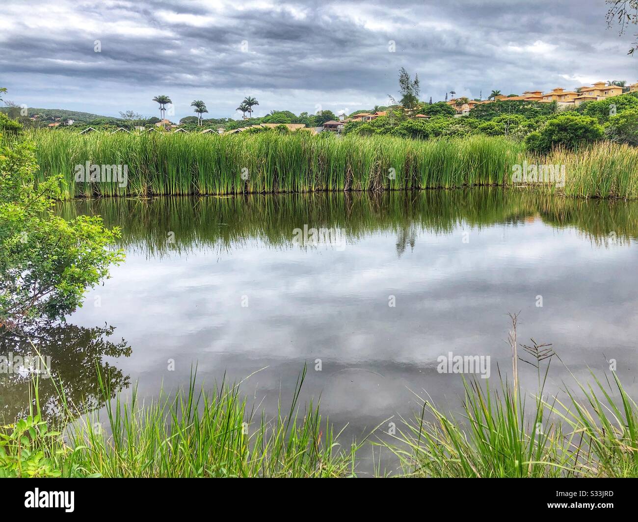 A tranquil scene in nature. - Smartphone Captured Stock Image