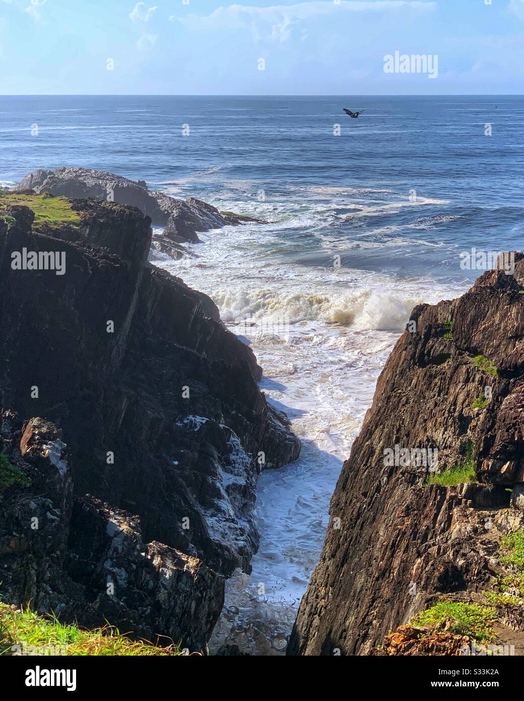 Gorgeous blue and black butterfly passes by in this photo of the ocean crashing into the rocks - Smartphone Captured Stock Image