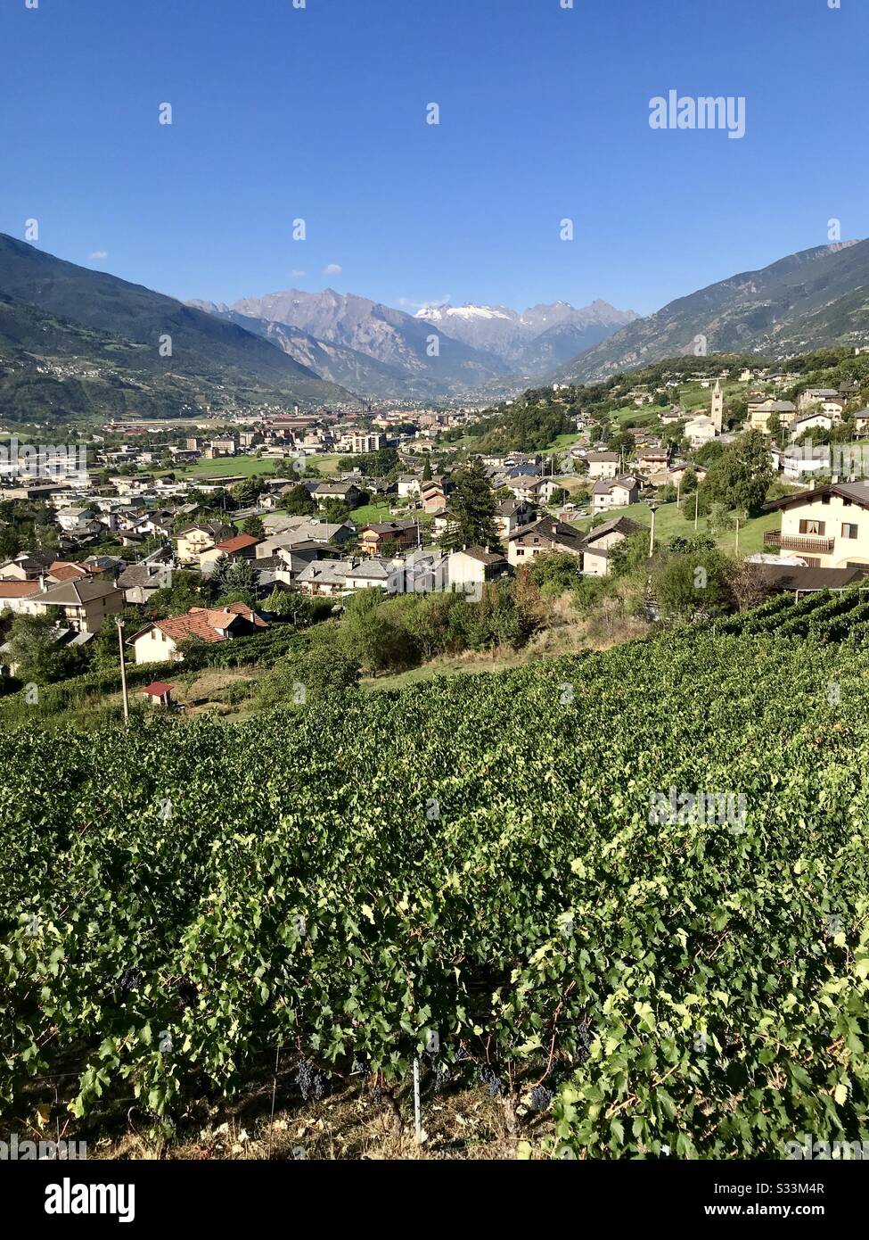 Valley view of Saint-Christophe in the Aosta Valley, Italy. Green grape vines in the foreground with homes and mountains in the middle and snow capped mountains in the background. - Smartphone Captured Stock Image