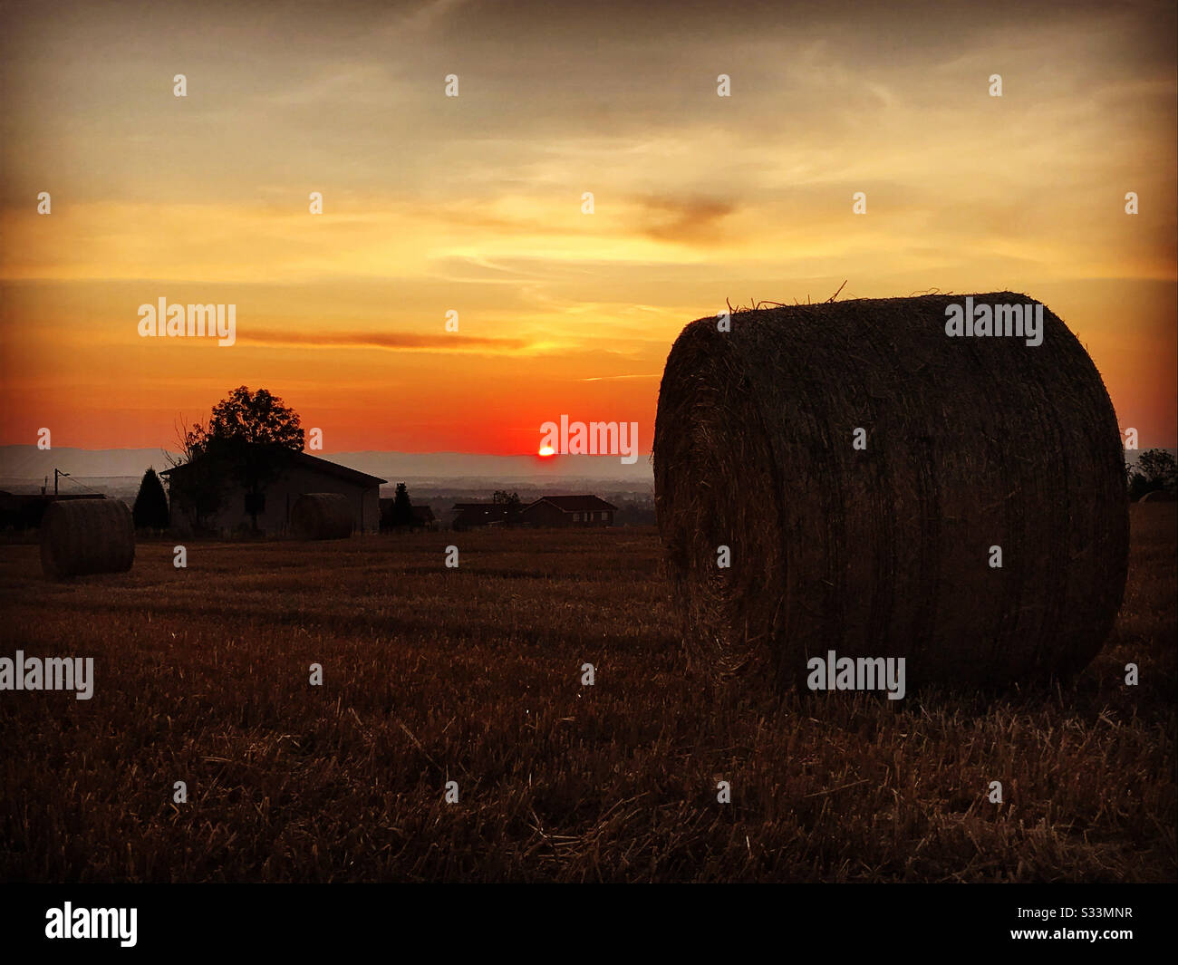 Naturepics hi-res stock photography and images - Alamy