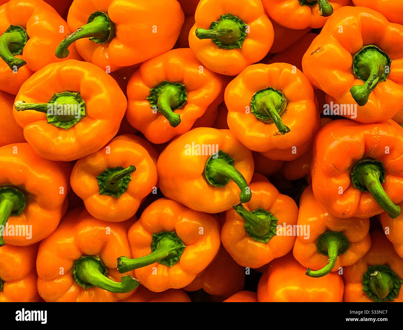 Orange Peppers Stock Photo