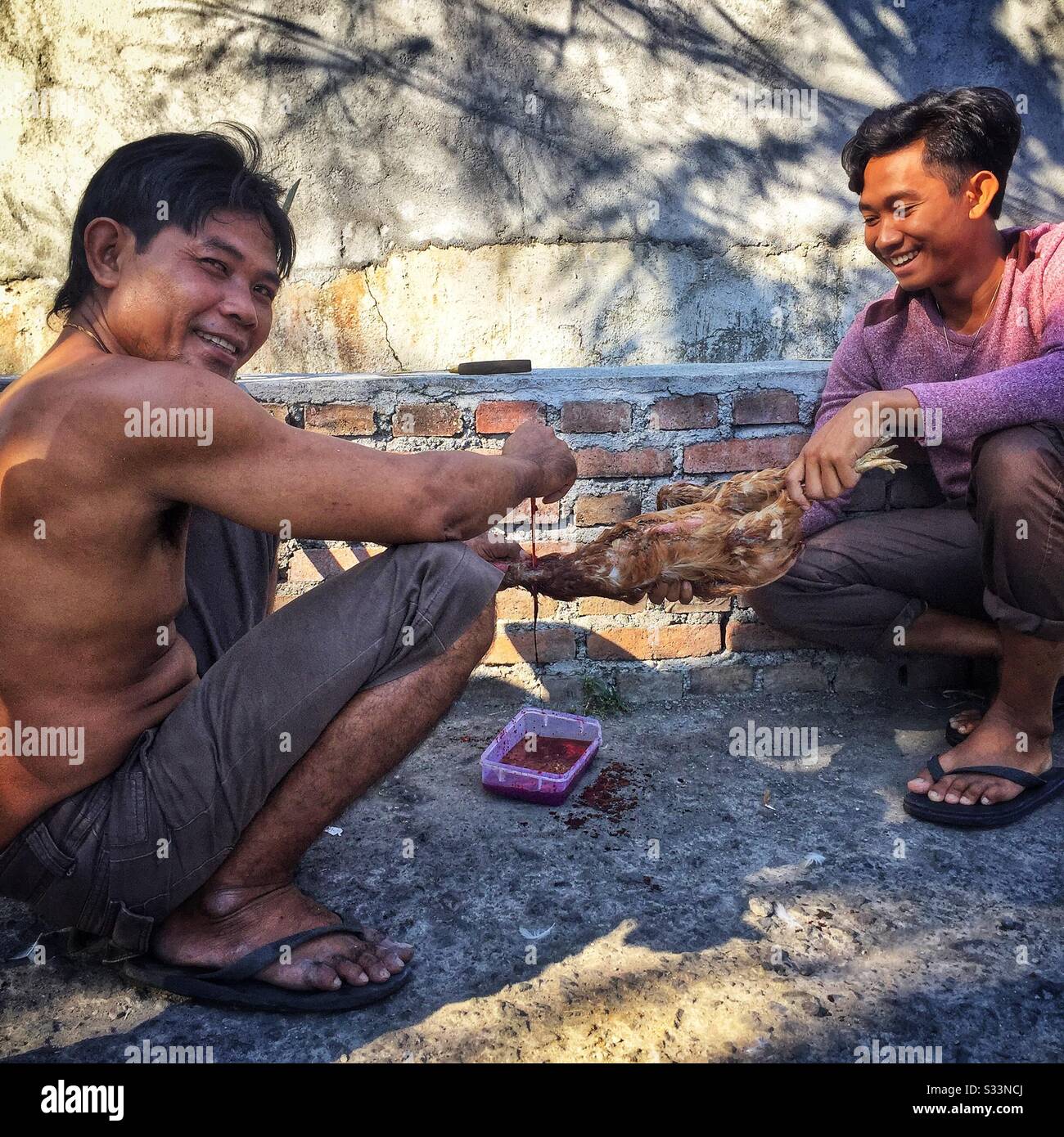Villagers drain blood from a dead chicken for a festival, Bali, Indonesia - Smartphone Captured Stock Image