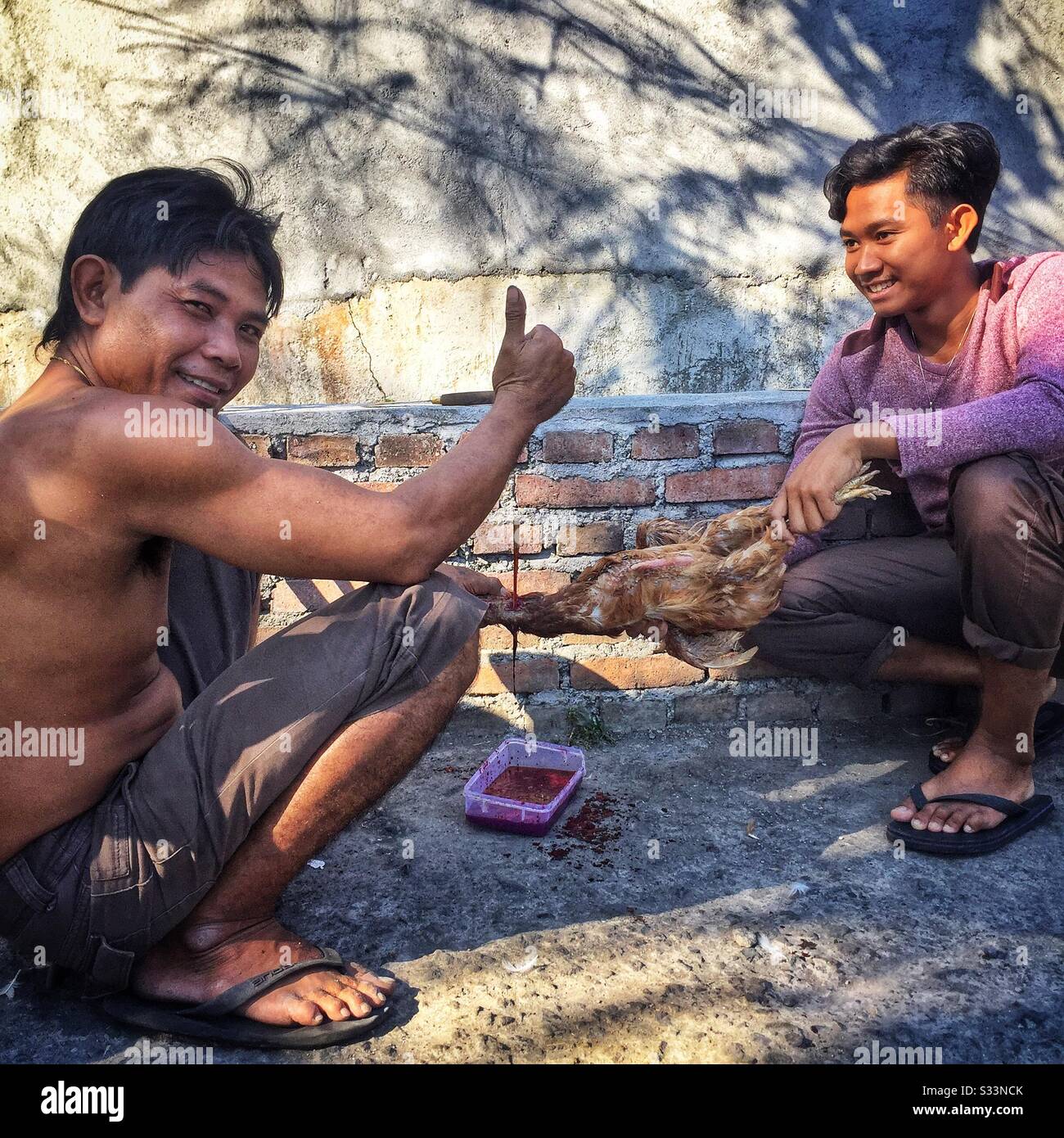 Villagers drain blood from a dead chicken for a festival, Bali, Indonesia - Smartphone Captured Stock Image