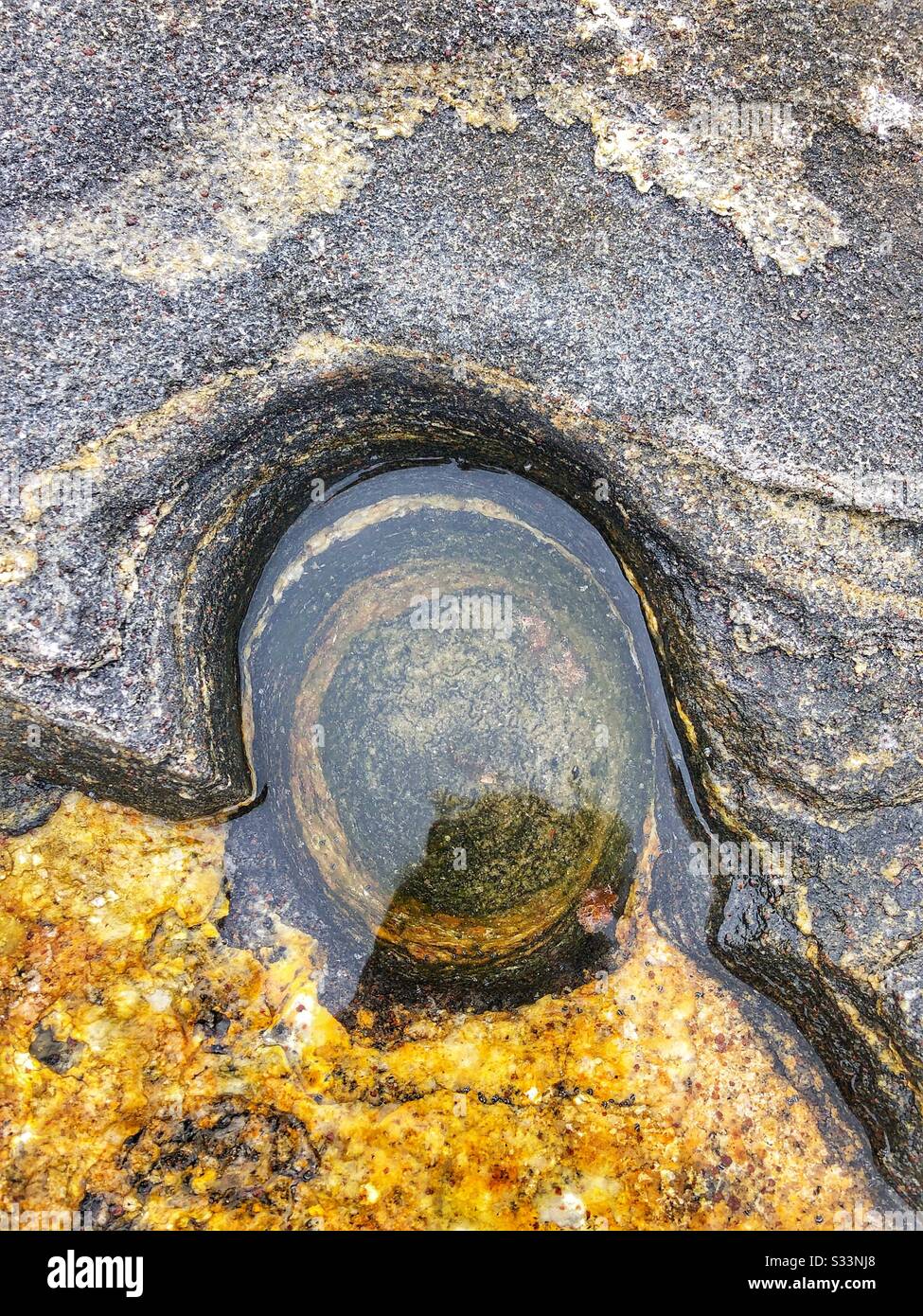 Patterns in nature. - Smartphone Captured Stock Image