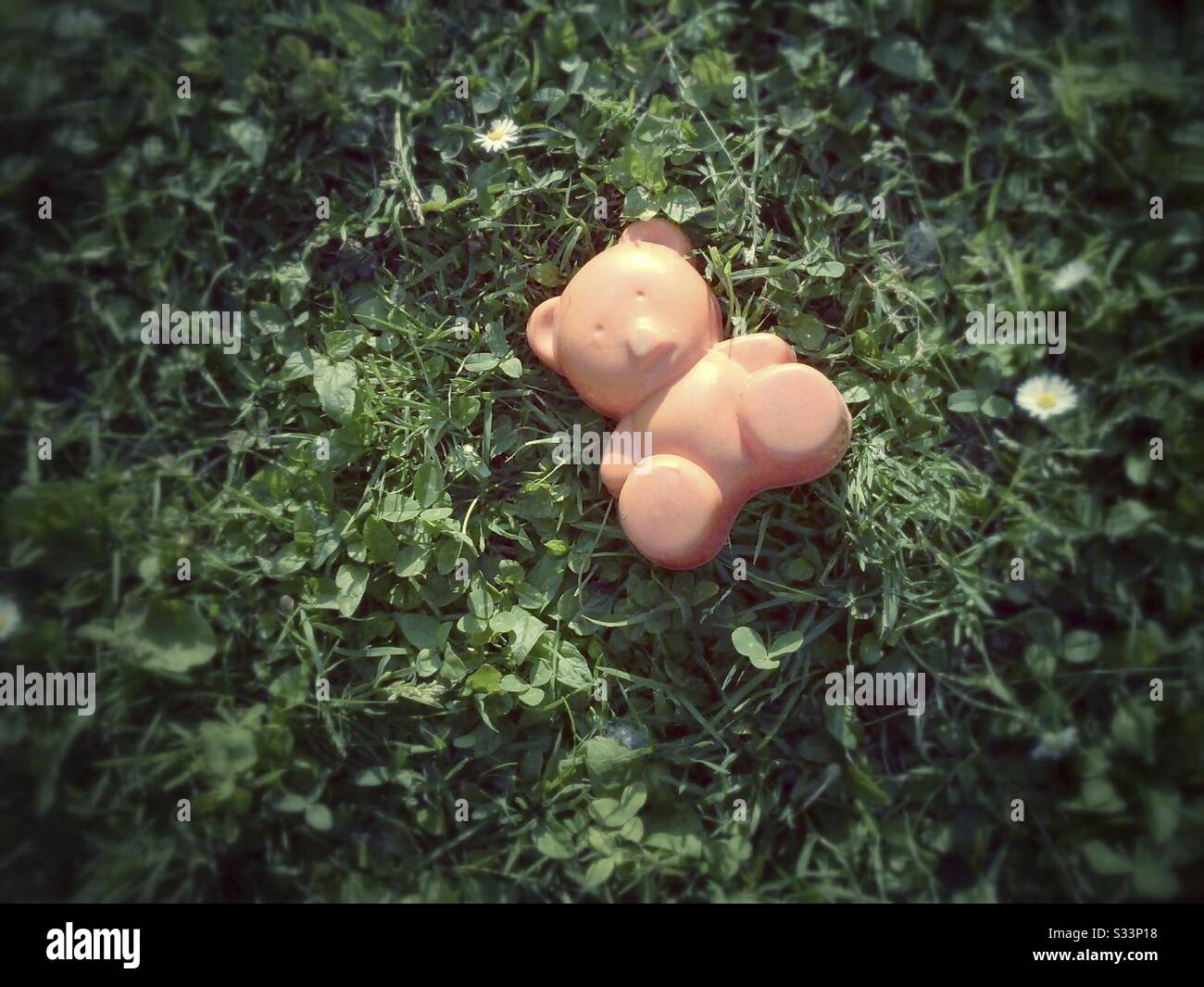 Toy Bear Lying in the Grass - Smartphone Captured Stock Image