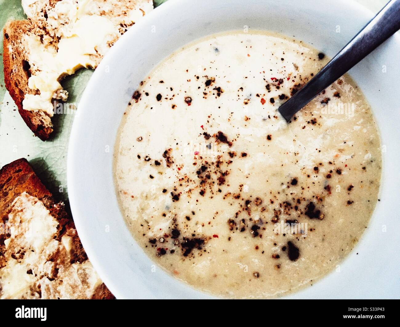 Celery and Stilton cheese soup Stock Photo Alamy