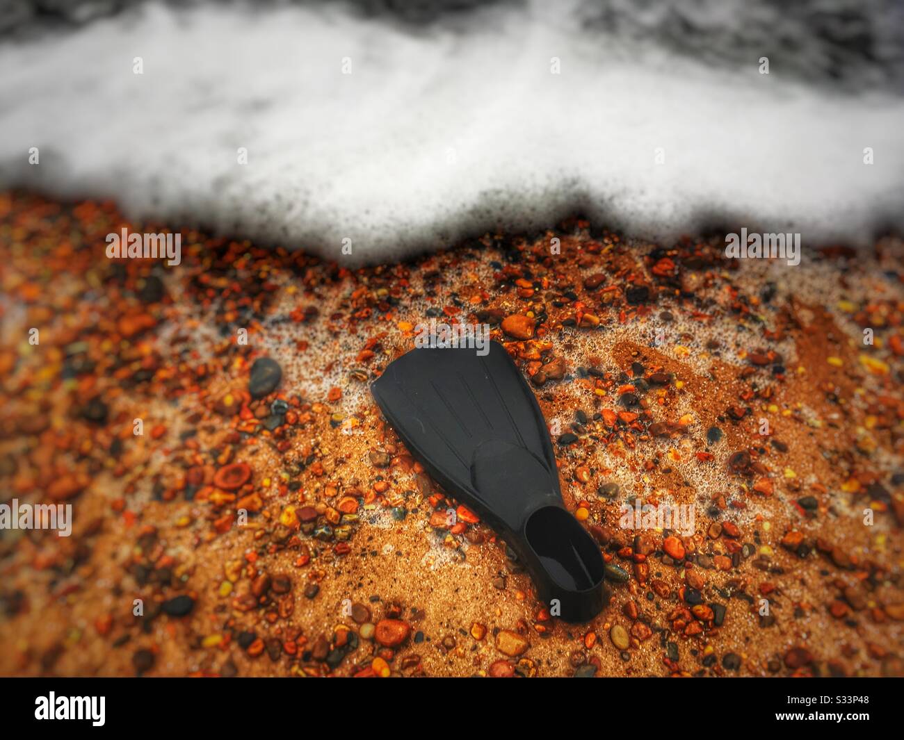 Flipper washed up on beach - Smartphone Captured Stock Image