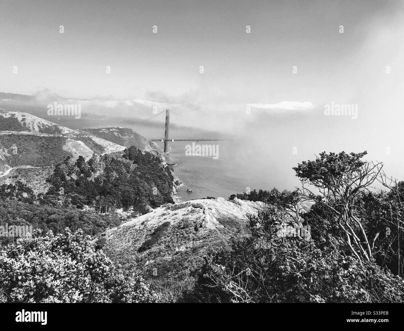 Black and white Golden Gate Bridge in fog - Smartphone Captured Stock Image