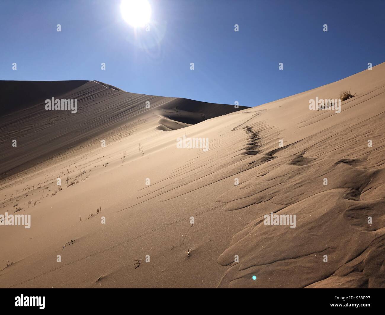 Sand dune path - Smartphone Captured Stock Image