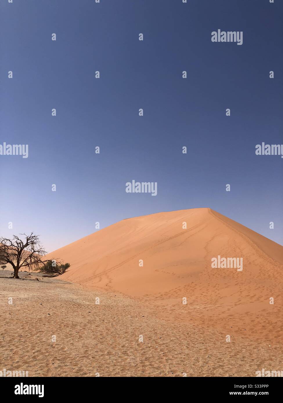 Dune 45 in Sossusvlei, Namibia - Smartphone Captured Stock Image