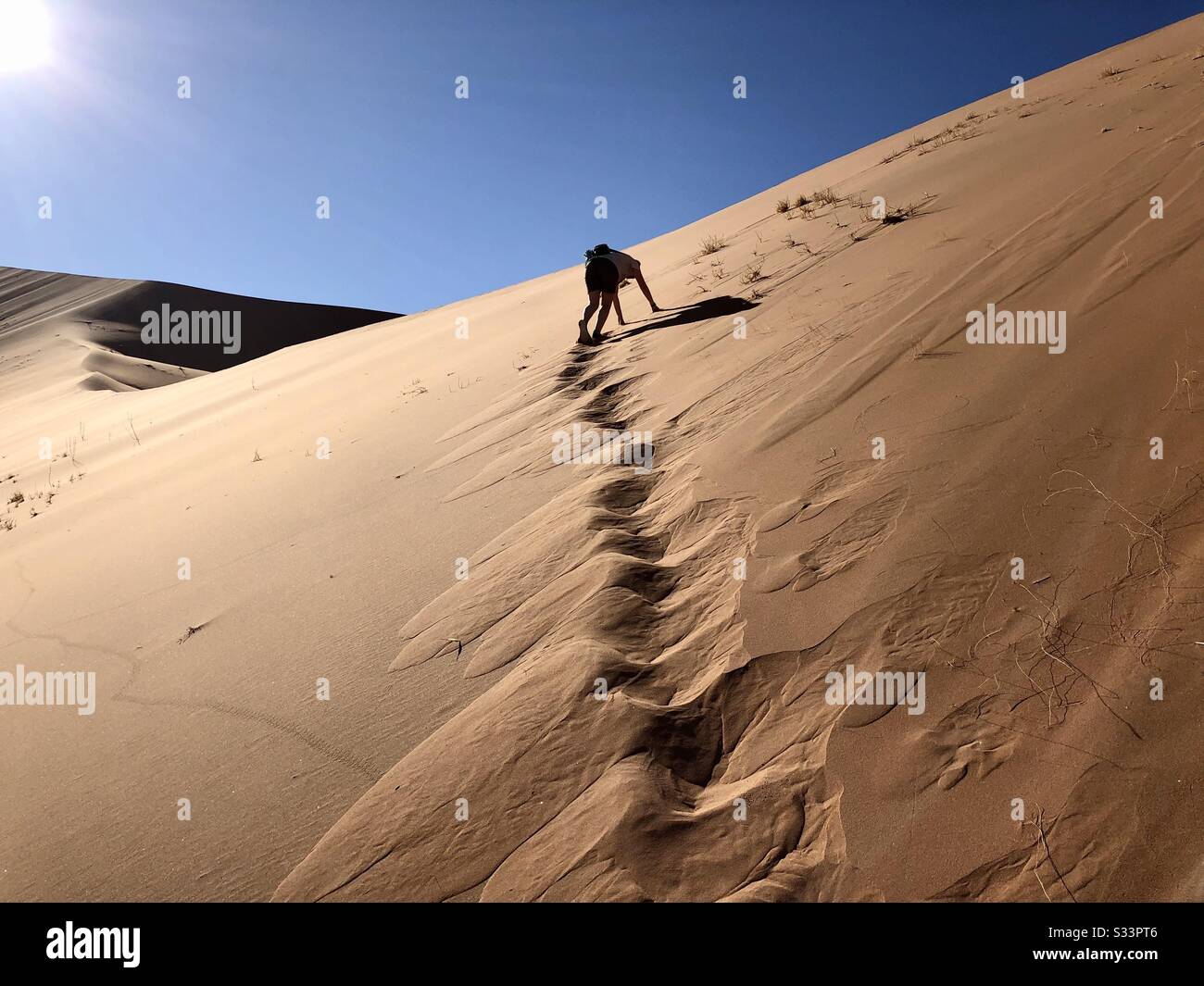 Path up dune - Smartphone Captured Stock Image