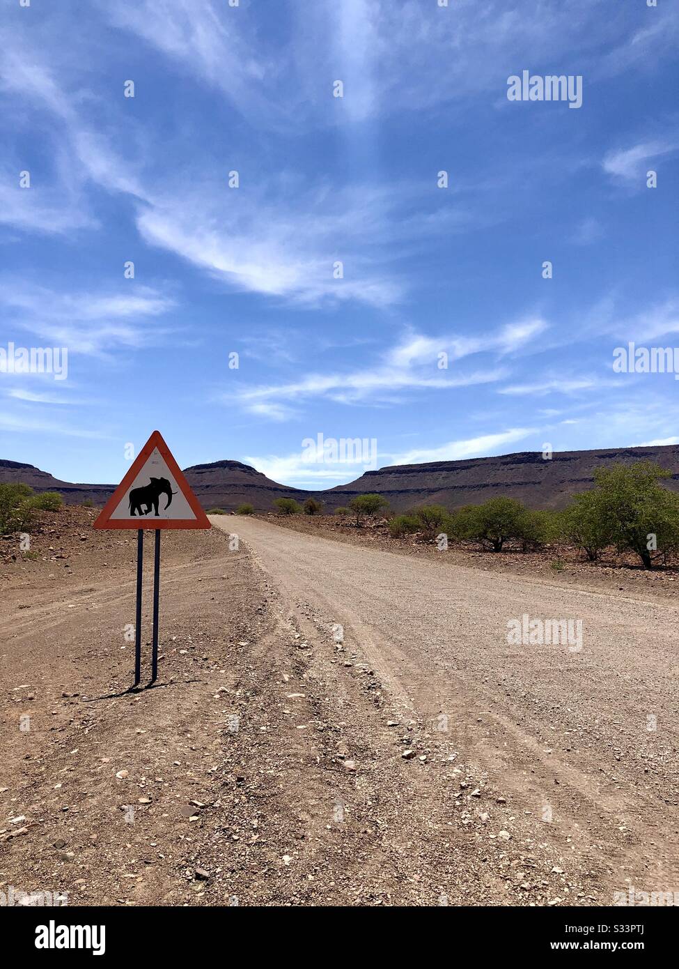 Elephant road sign Stock Photo Alamy