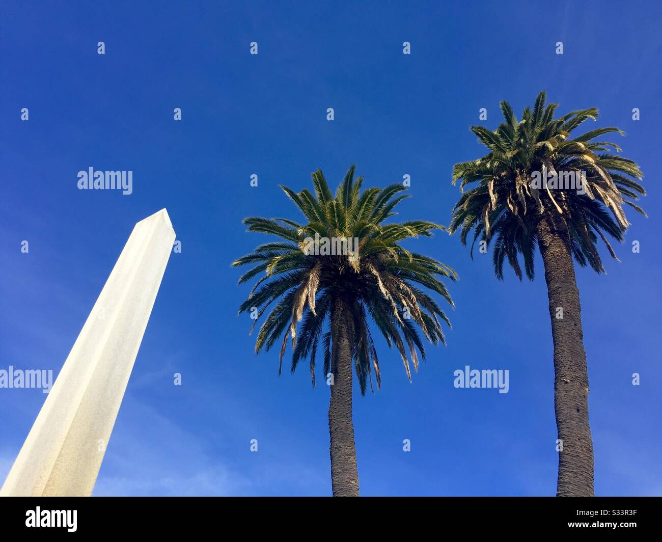 White stone obelisk grave marker and two palm trees against a blue sky. Mountain View Cemetery, Oakland, California. - Smartphone Captured Stock Image
