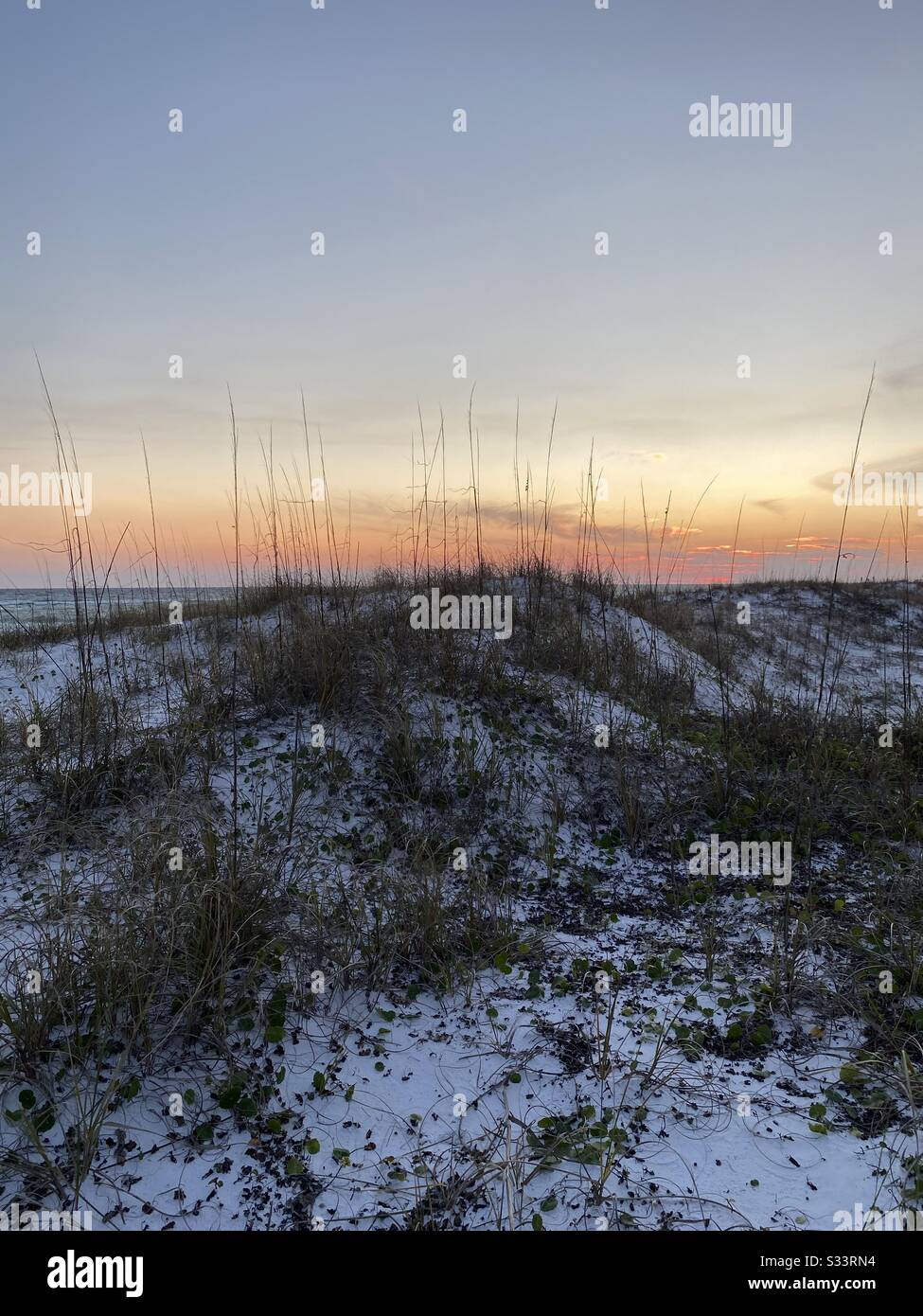 Soft golden sunset on white sand beach and white large sand dunes - Smartphone Captured Stock Image