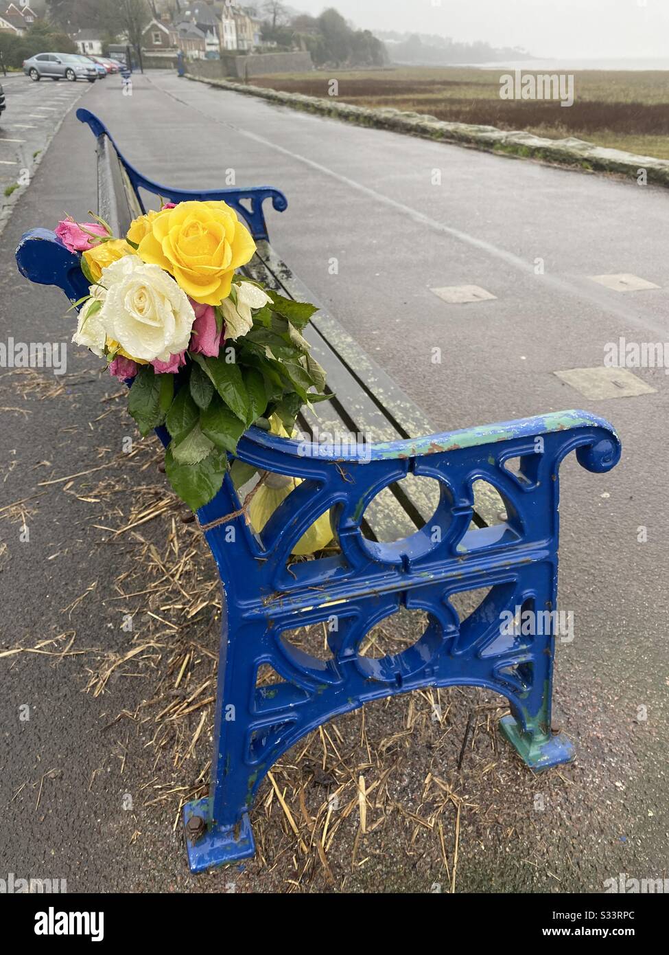 Roses left on the seafront for a lost loved one Stock Photo