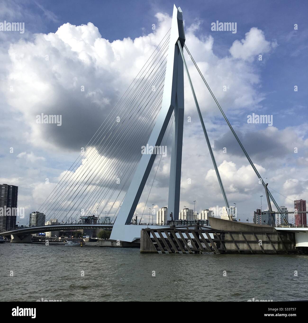 Erasmus Bridge and Rotterdam Skyline, The Netherlands Stock Photo