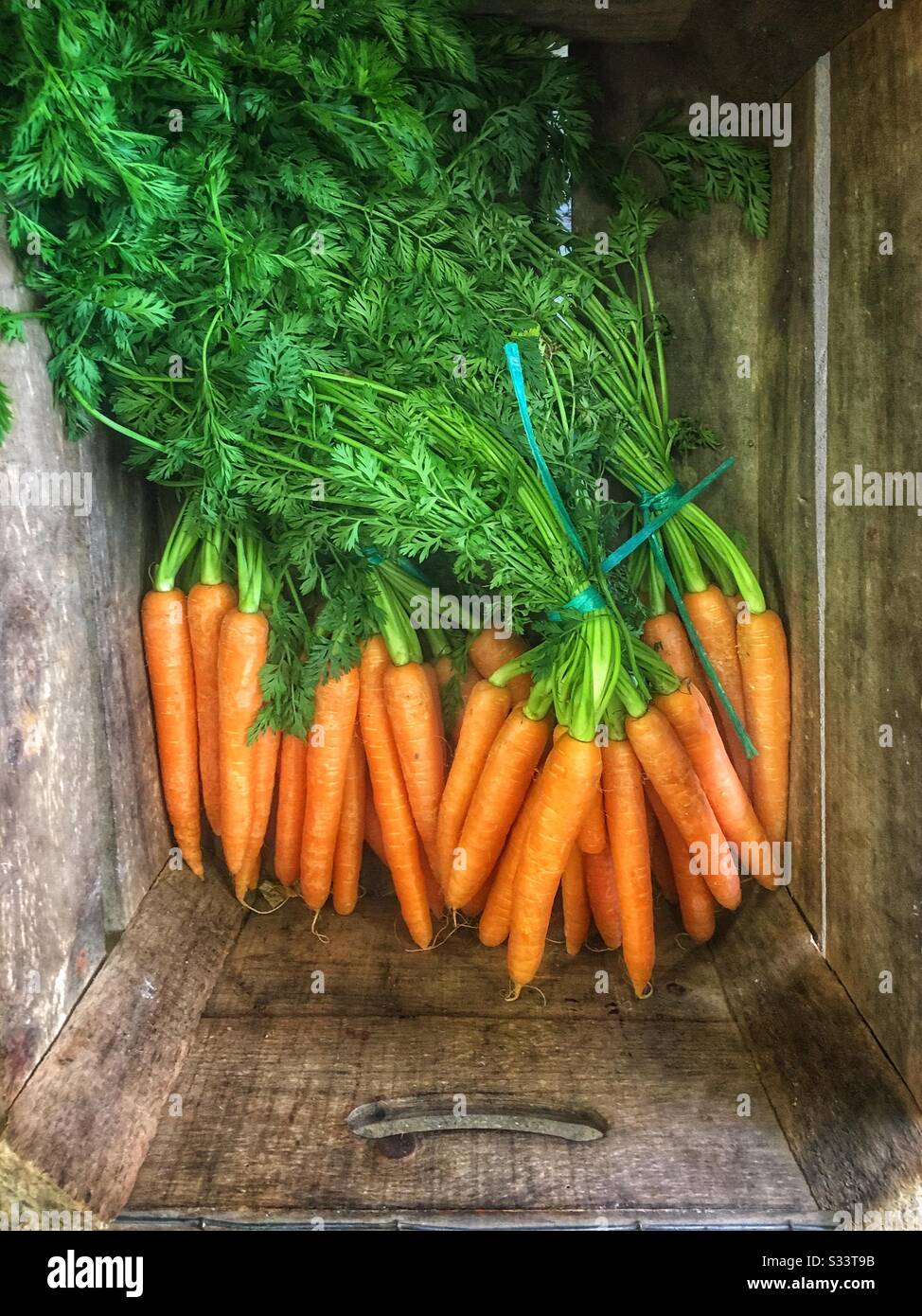 Top down shot of bunches of fresh carrots, with tops, in a wooden box, for sale in a farm shop. Stock Photo
