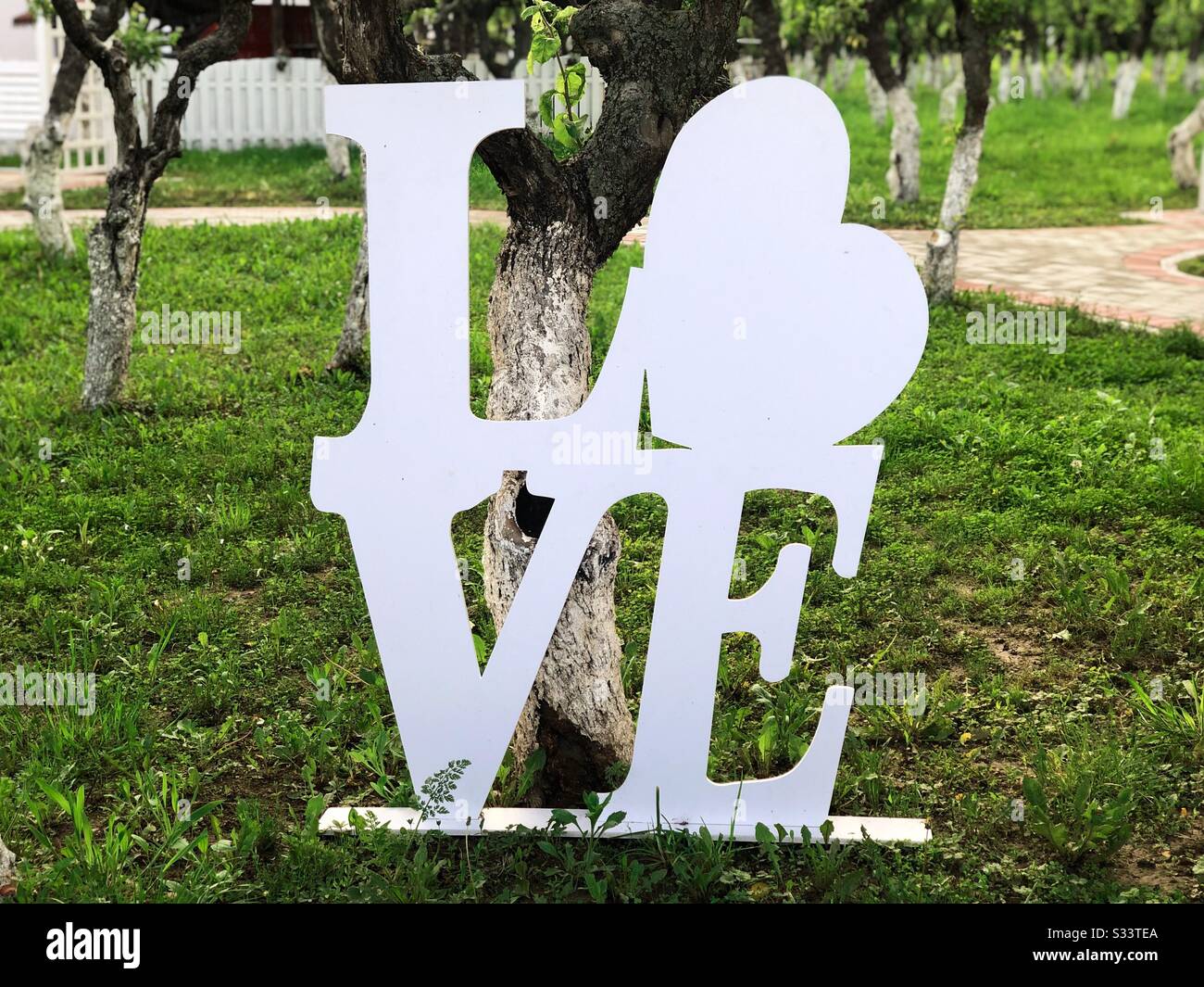 Love sign places next to a tree - Smartphone Captured Stock Image