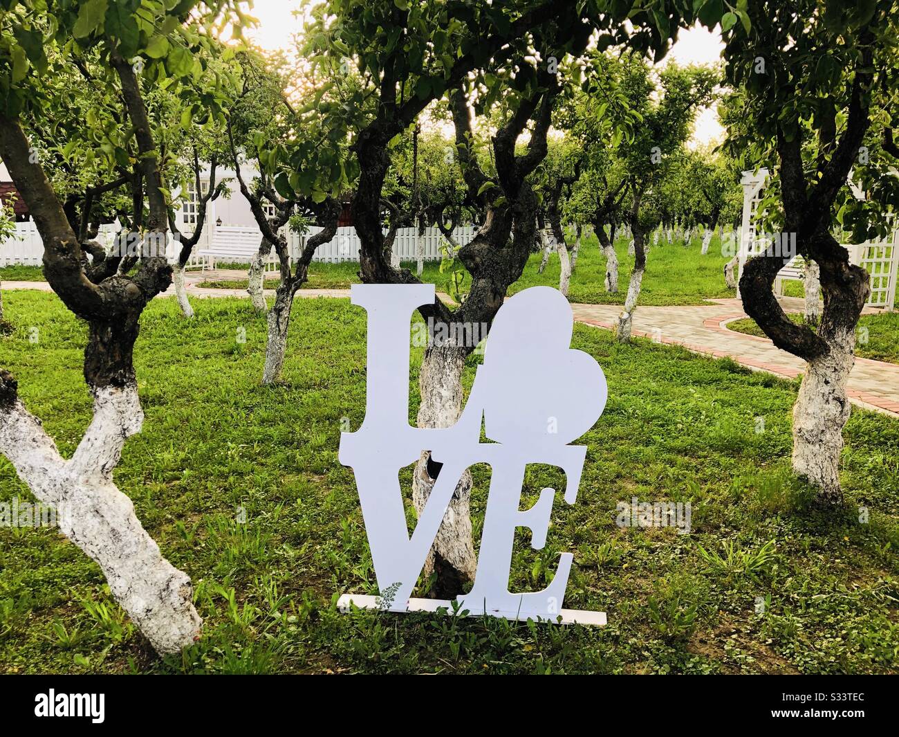 Love sign placed next to a tree - Smartphone Captured Stock Image