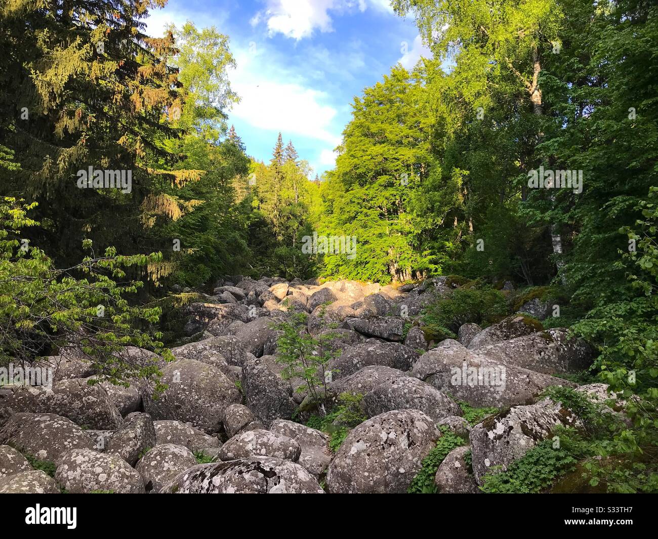 Stone River natural phenomenon in Vitosha Natural Park near Sofia