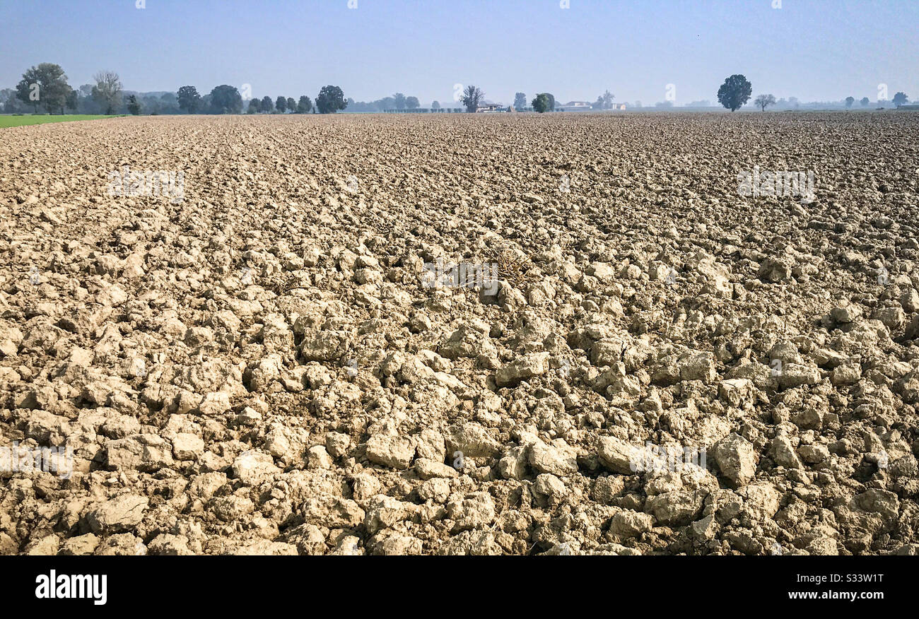 Close up of cultivated dirt field ready for harvest. - Smartphone Captured Stock Image