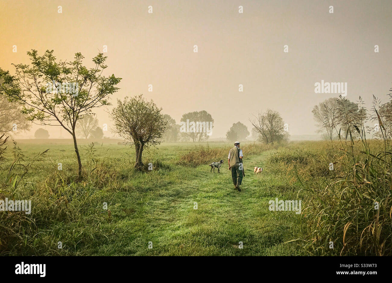 Beautiful vintage Italian hunting scene. Lush landscaping with a man and his two dogs. - Smartphone Captured Stock Image