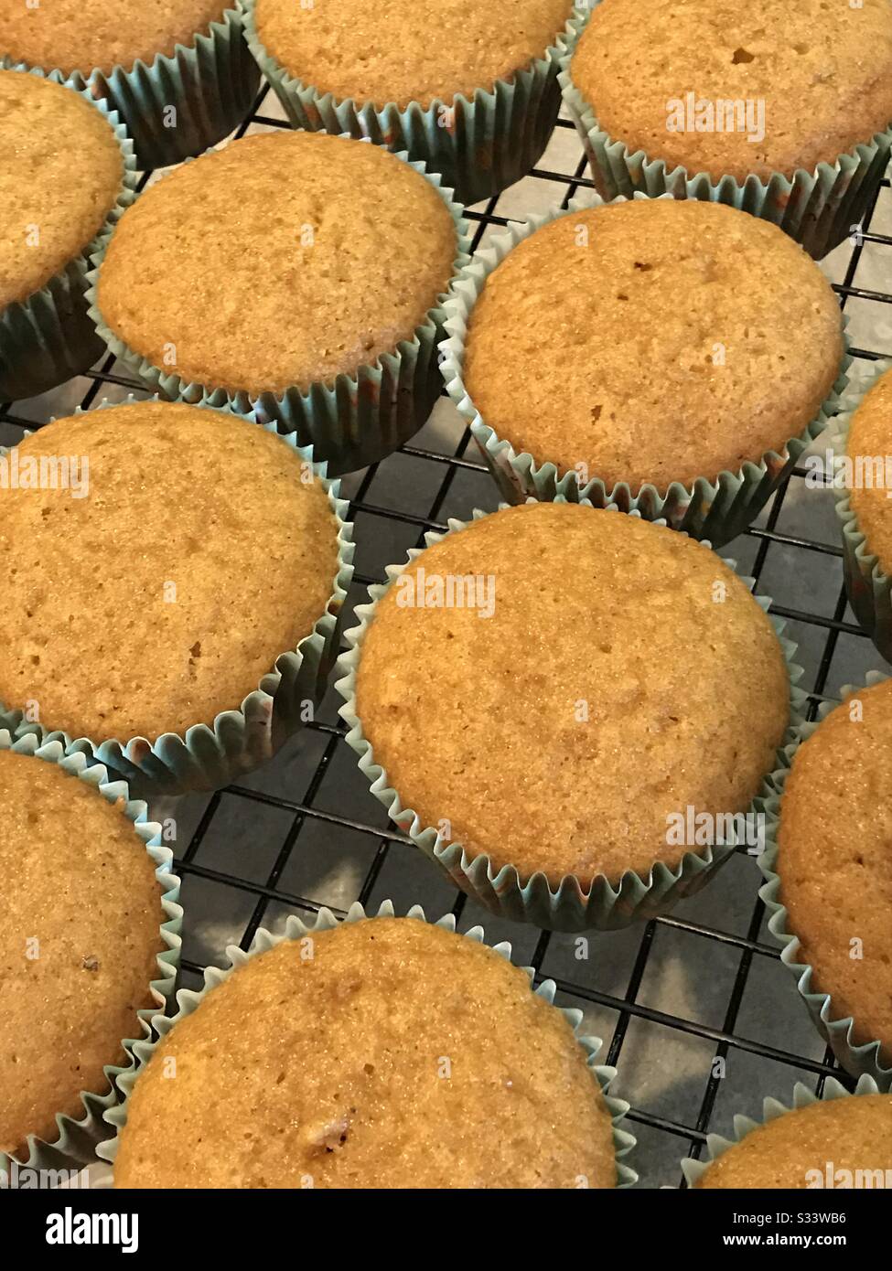 Homemade pumpkin muffins cooling on cooling rack Stock Photo Alamy