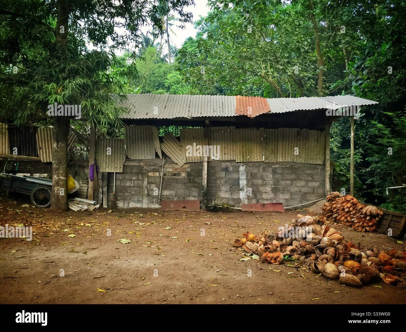 Coconut husks left to dry, to be used as firewood, Candidasa, Bali, Indonesia - Smartphone Captured Stock Image