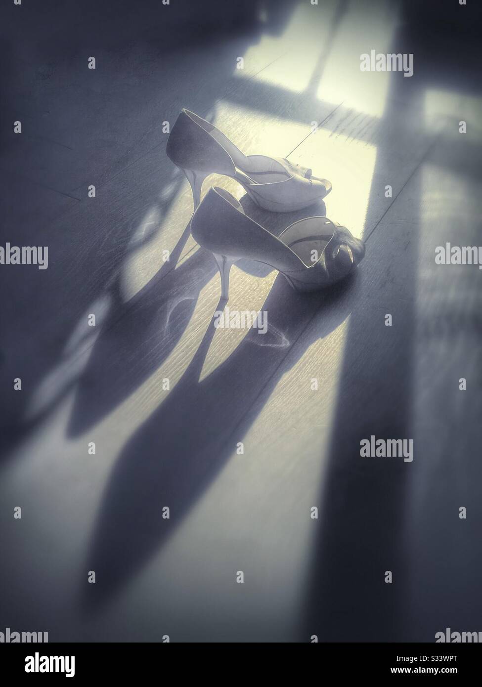 Woman’s High Heel Shoe - Smartphone Captured Stock Image