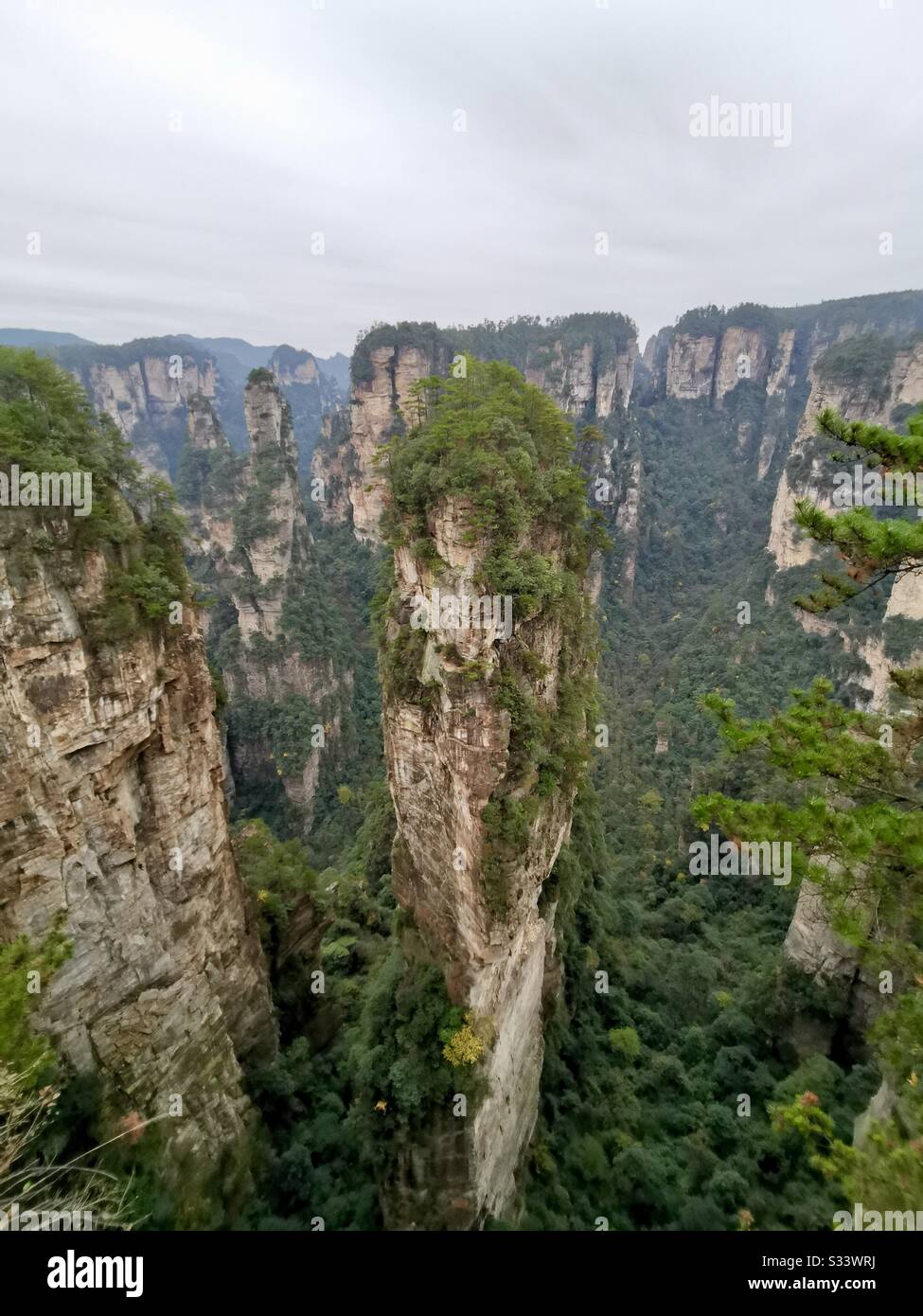 Dramatic landscapes at Wulingyuan scenic area at Zhangjiajie national forest in Hunan, China. - Smartphone Captured Stock Image