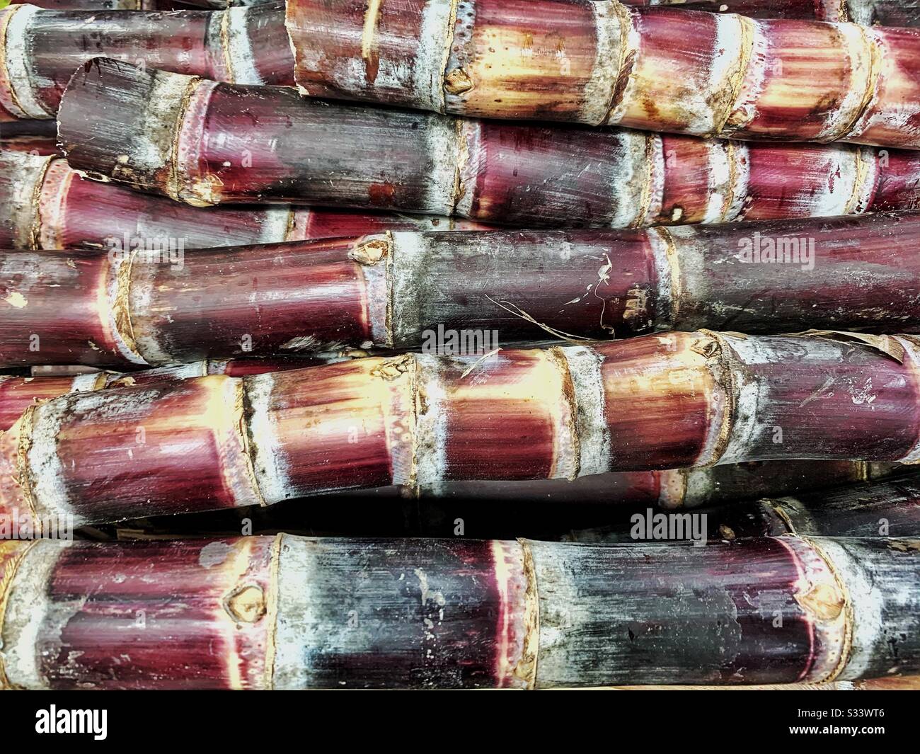 Red sugar cane in store Stock Photo