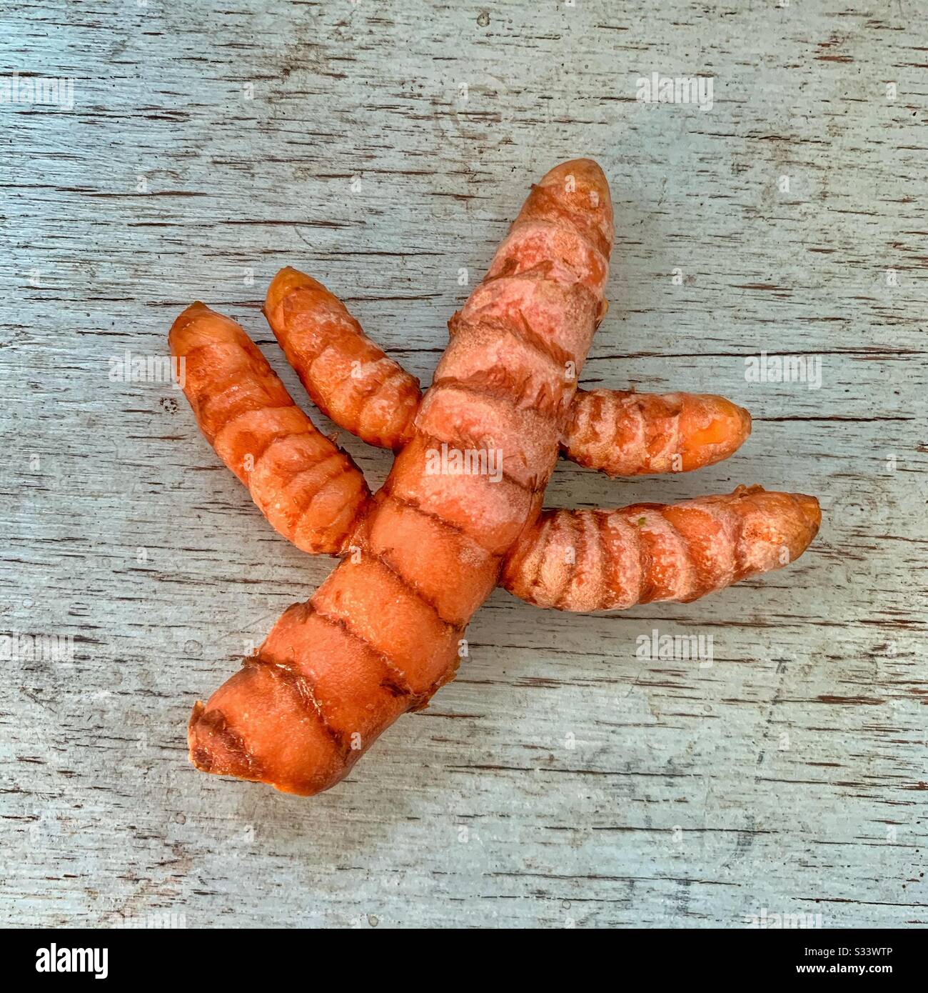 Turmeric root - Smartphone Captured Stock Image