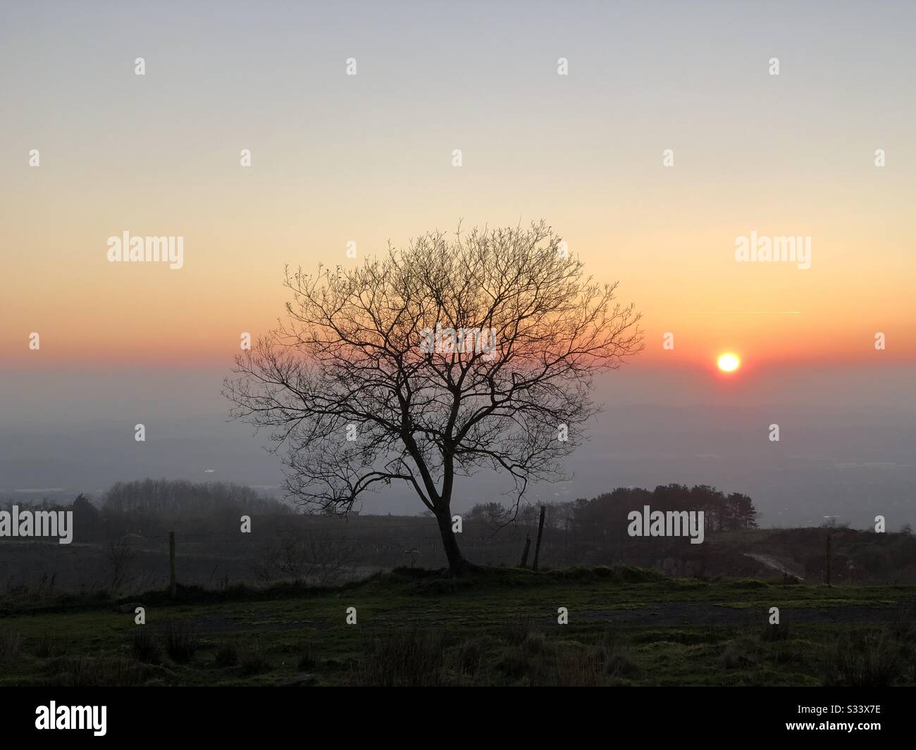 Sun setting next to a tree on a crisp clear winters day Stock Photo - Alamy