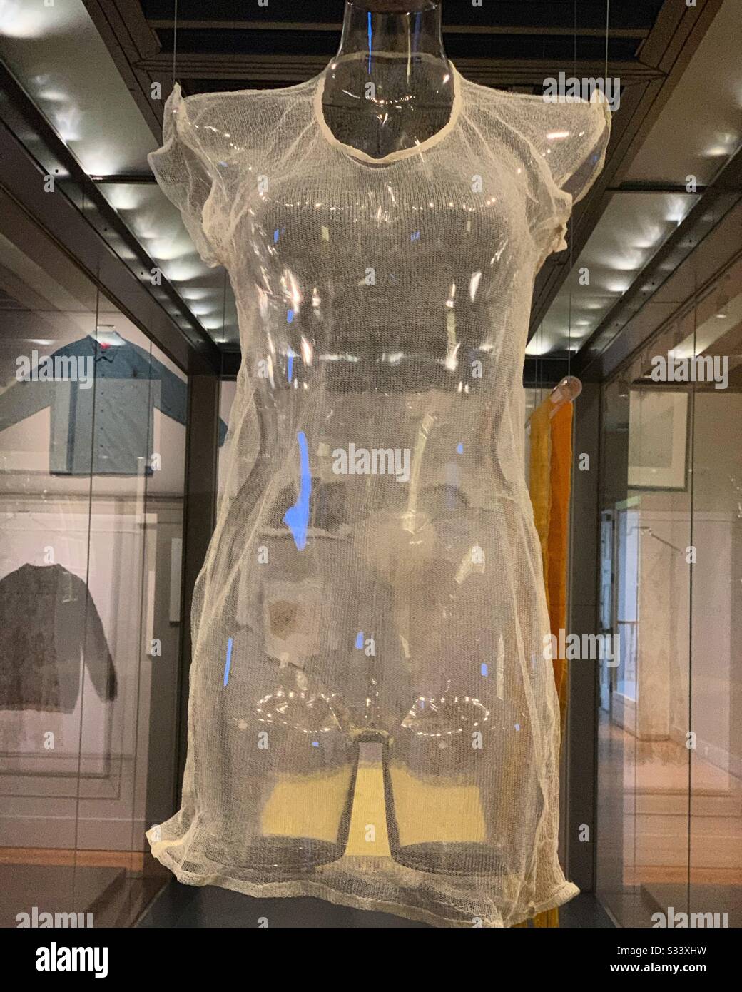 The Art and Design of Spider Silk, RISD Museum, Providence, Rhode Island, United States - Smartphone Captured Stock Image