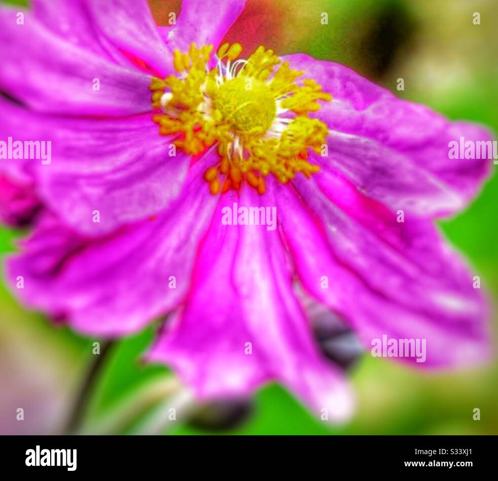 My Image 16