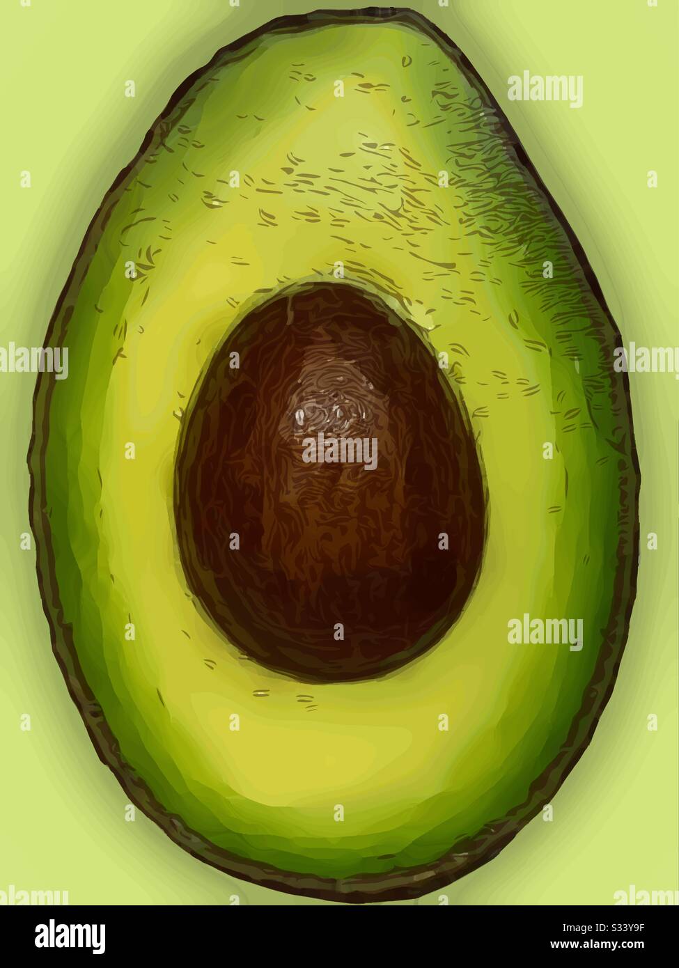 Avocado vector graphic - Smartphone Captured Stock Image