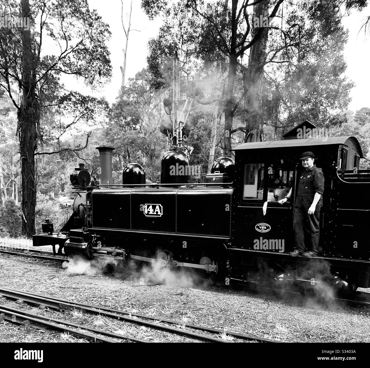 Puffing Billy. Sherbrooke Stock Photo