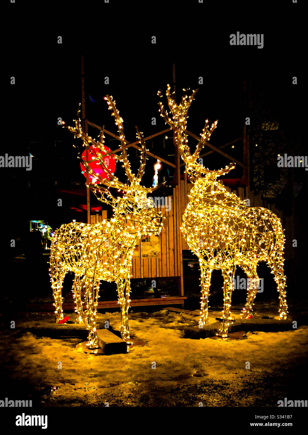 Illuminated Festive Deer Lights in Tromso Norway Stock Photo