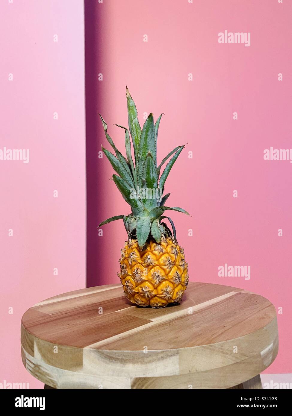 A mini pineapple on a table with a colorful background. Stock Photo