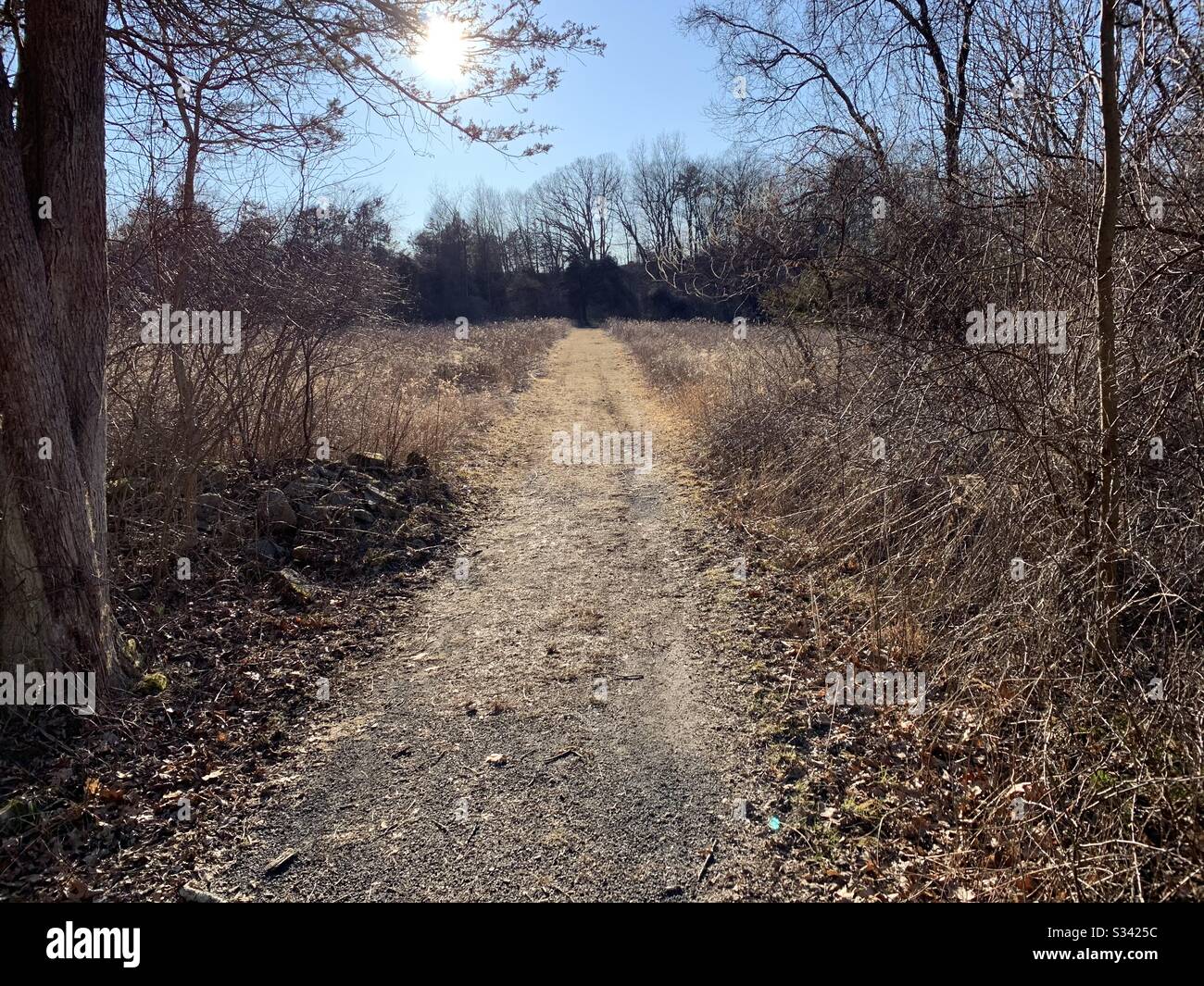 Hiking on gravel road in park Stock Photo