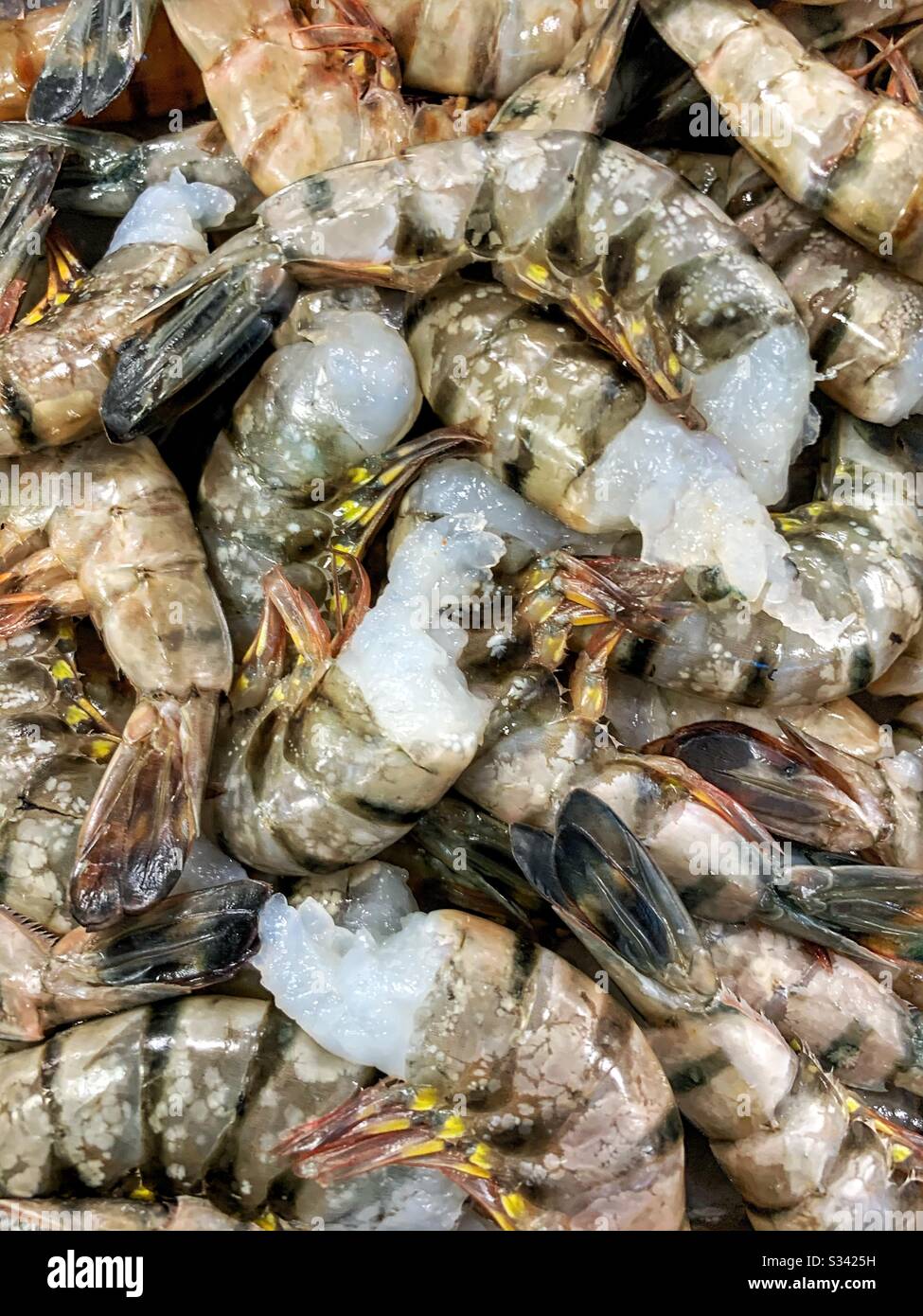 Raw Tiger shrimp  headless Stock Photo